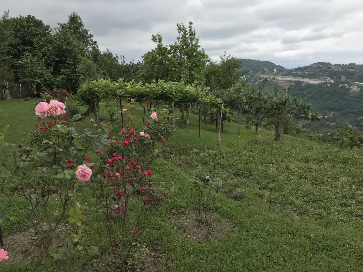 Sea & Nature Villa Hisar Trabzon Exterior photo