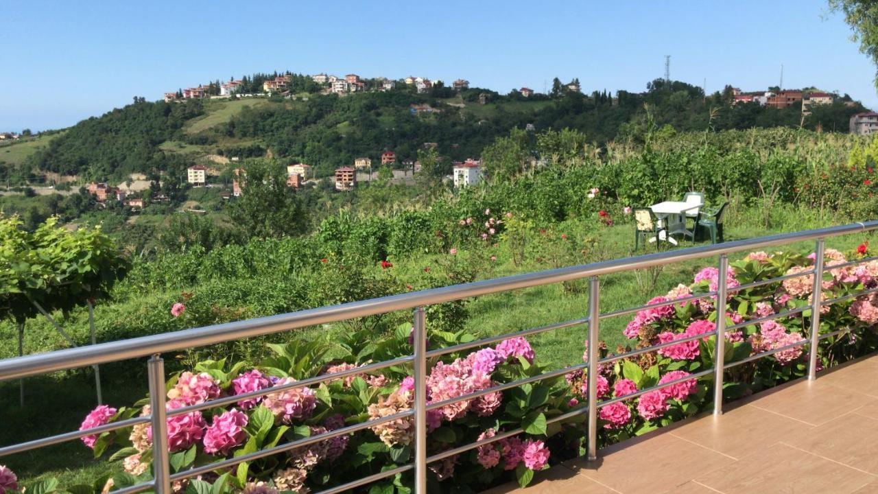 Sea & Nature Villa Hisar Trabzon Exterior photo